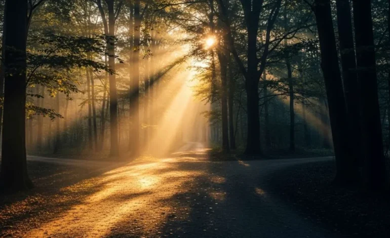 Salmo 1 – Como escolher o caminho certo em um mundo confuso